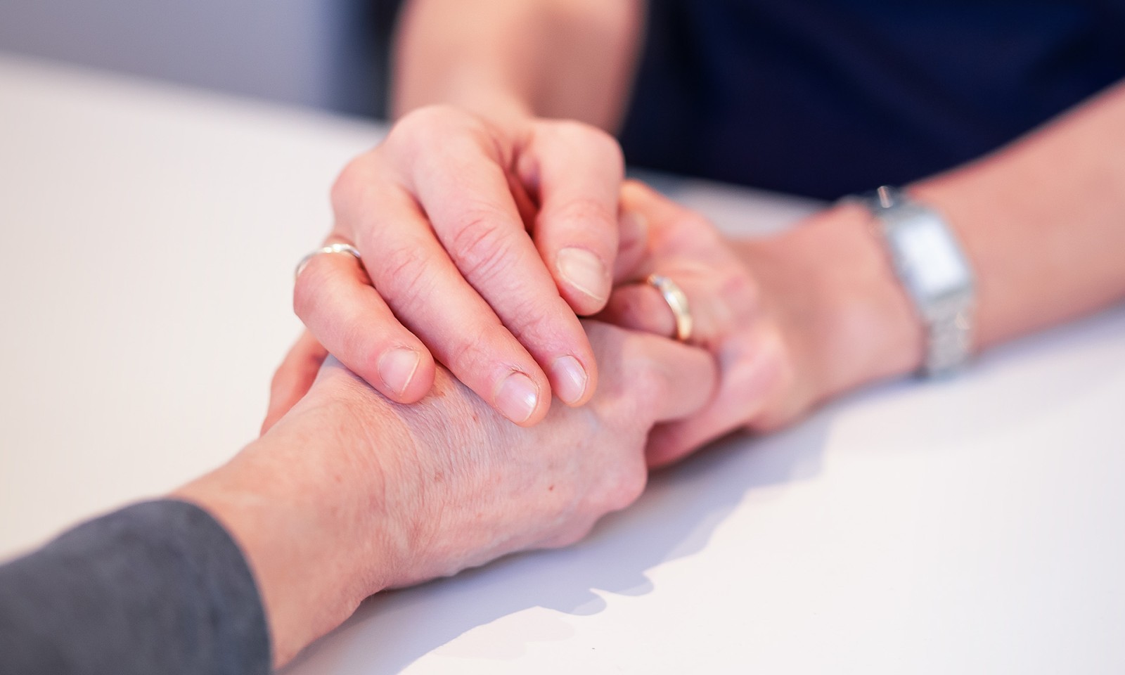 Bild volle Breite mobile