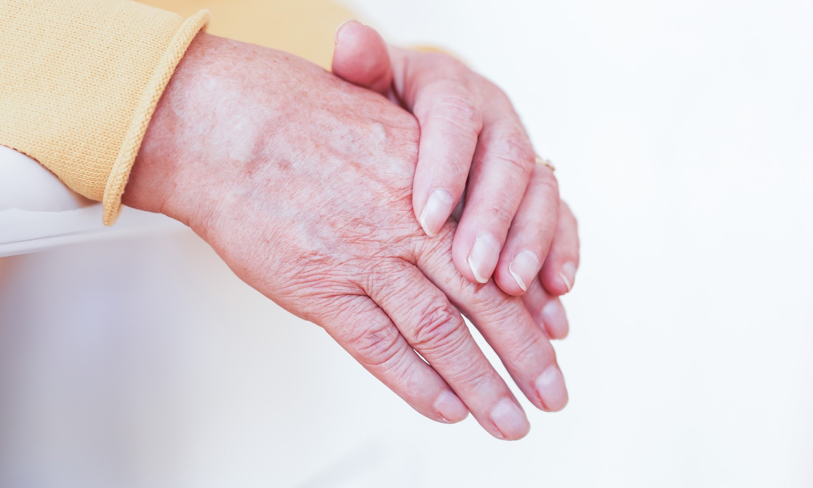 Bild volle Breite mobile